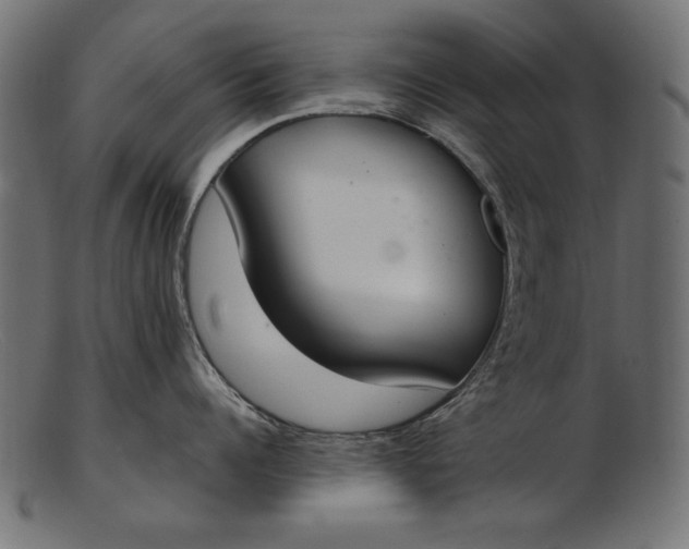 X0000103230960200809111527