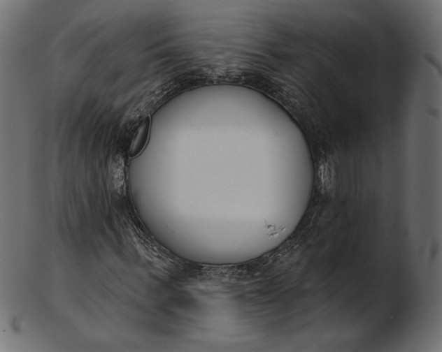X0000103230963200809111526