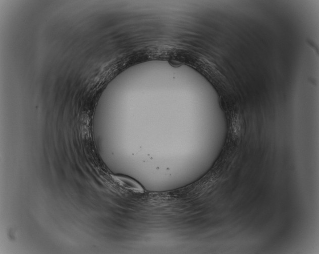 X0000103230964200809111526