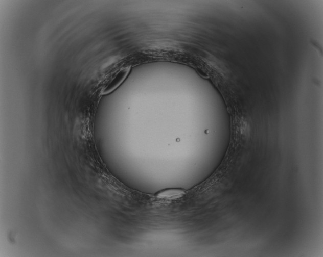 X0000103230965200809111526