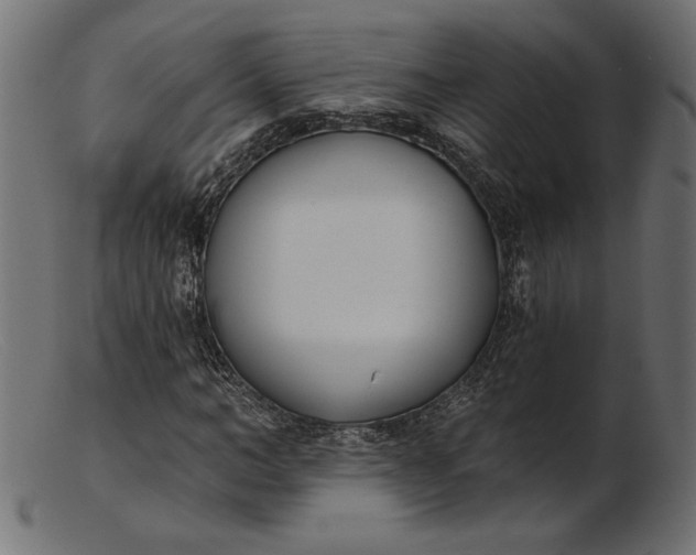 X0000103230966200809111526