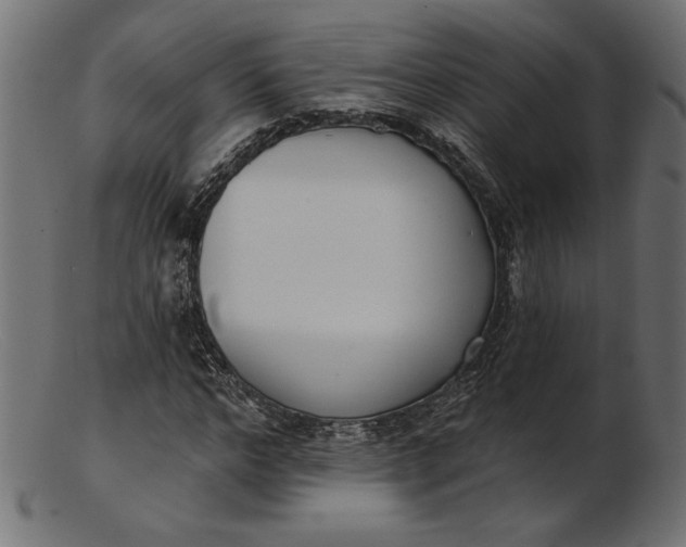 X0000103230968200809111526