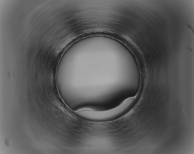 X0000103230969200809111526