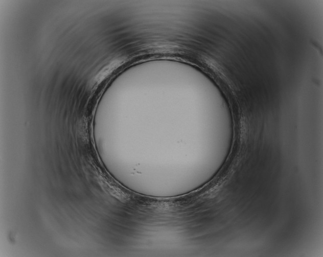 X0000103230970200809111526