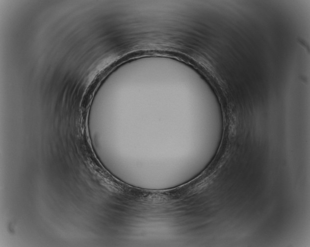 X0000103230974200809111526