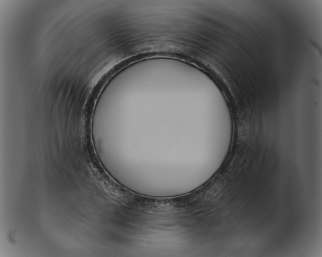 X0000103230975200809111526