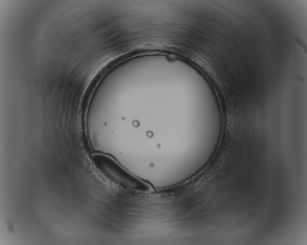 X0000103230976200809111526