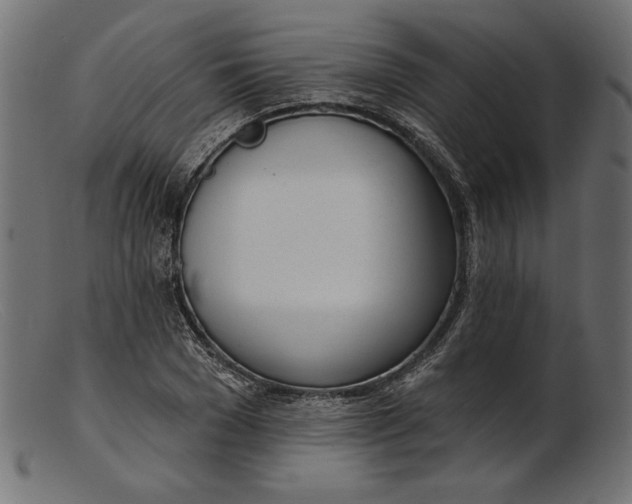 X0000103230977200809111526