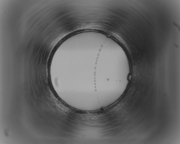 X0000103230980200809111526