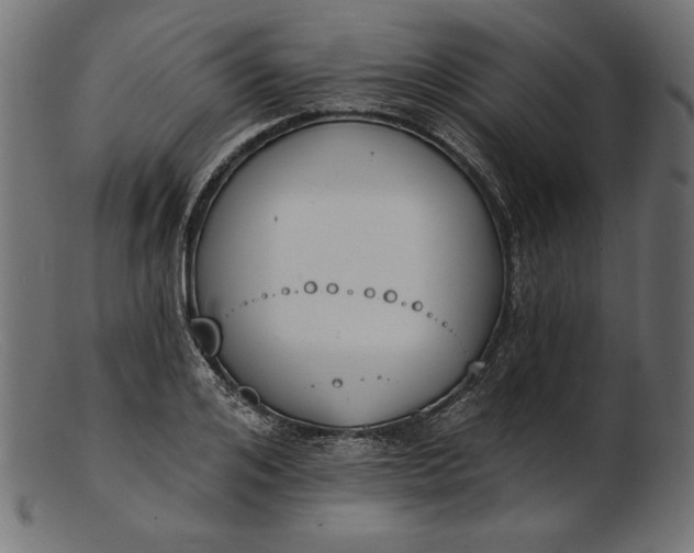 X0000103230984200809111526
