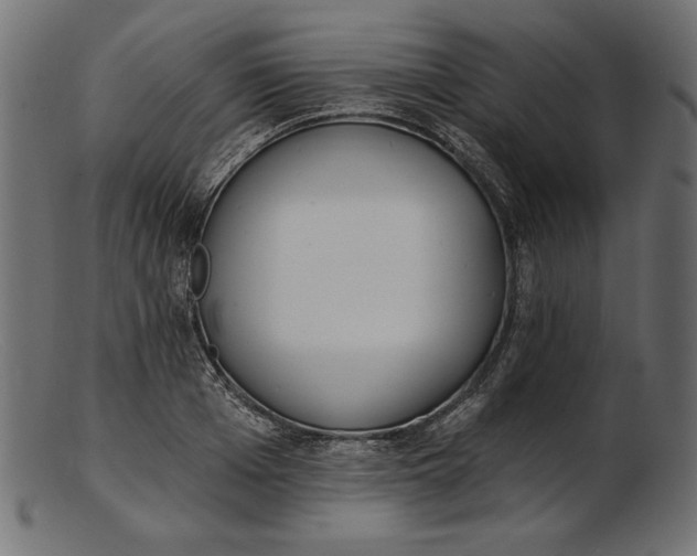 X0000103230985200809111526