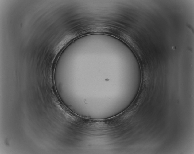X0000103230986200809111526