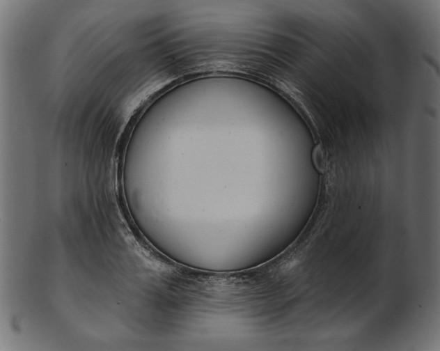 X0000103230987200809111526