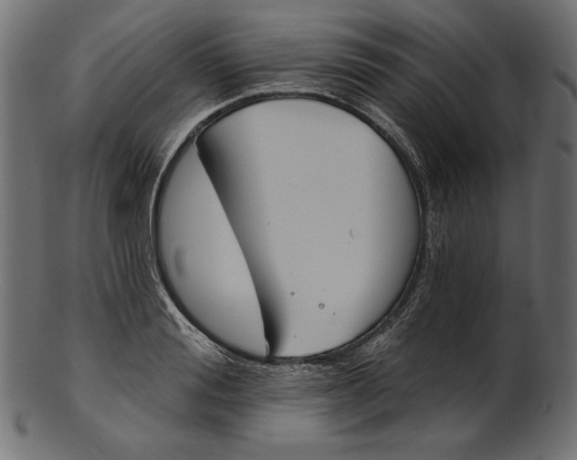 X0000103230988200809111526
