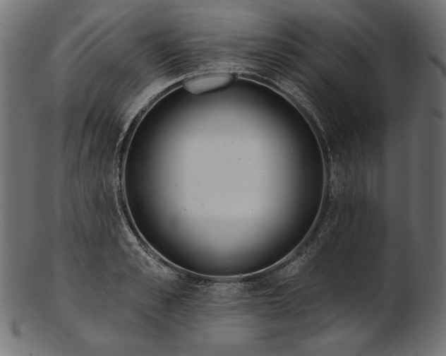 X0000103230989200809111526