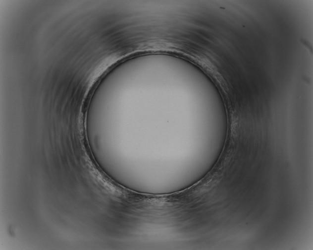 X0000103230990200809111526