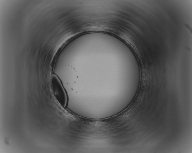 X0000103230992200809111526