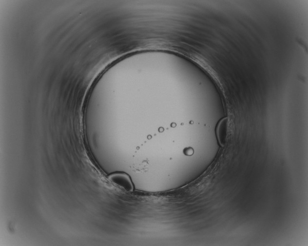 X0000103230996200809111526