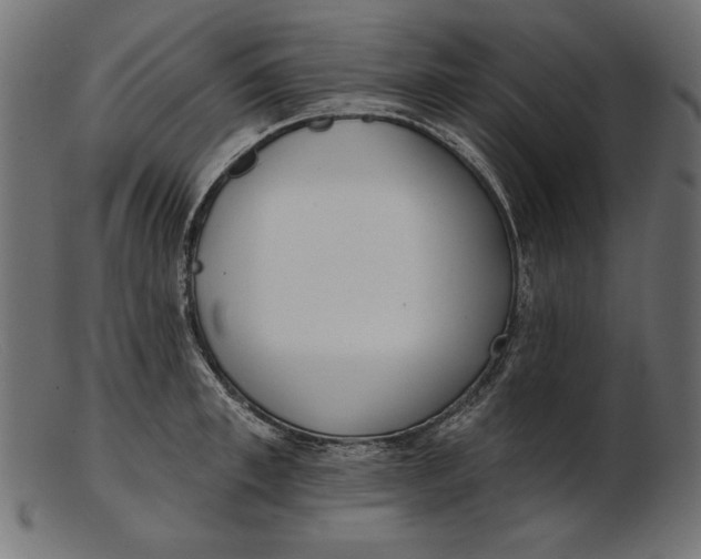 X0000103230997200809111526