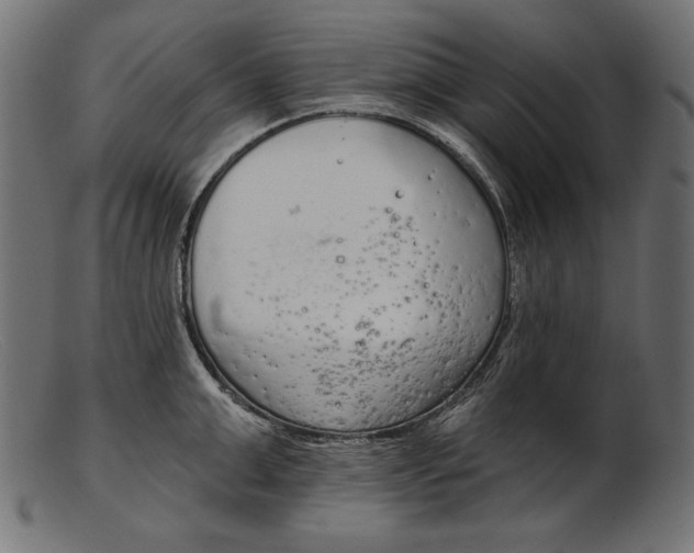 X0000103230999200809111526