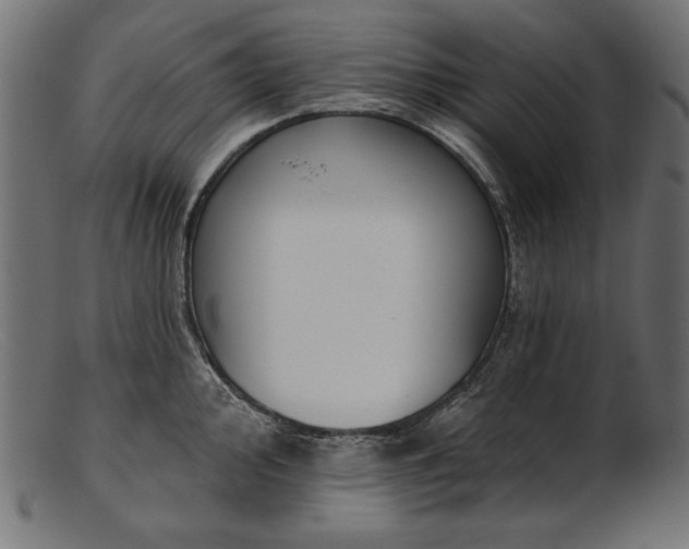 X0000103231000200809111526