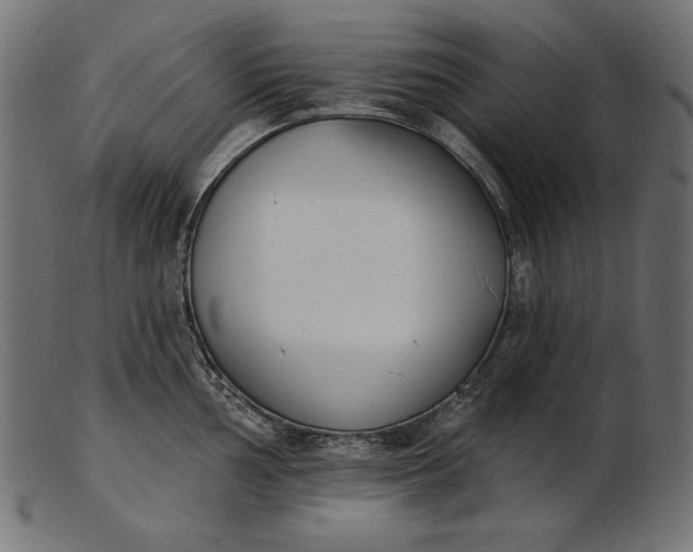 X0000103231002200809111526