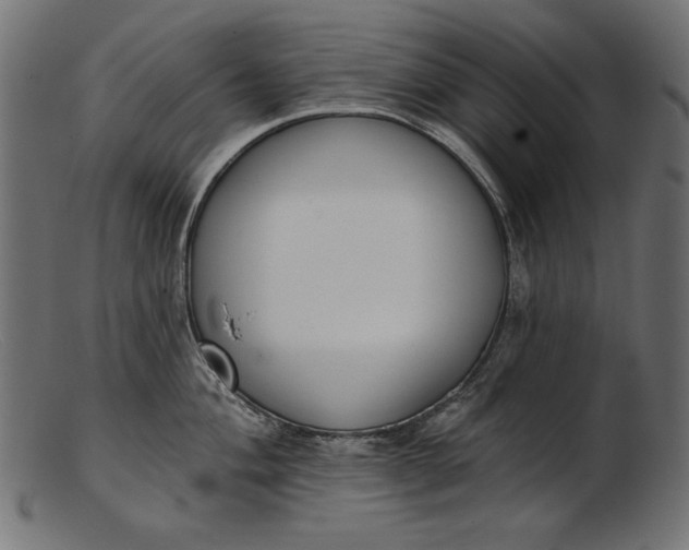 X0000103231004200809111526