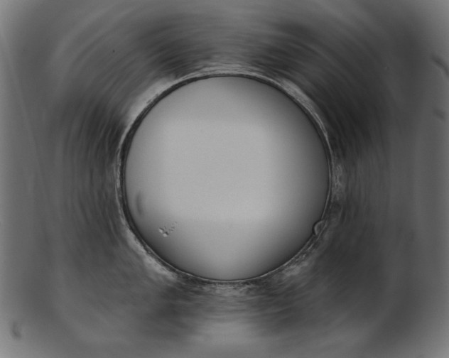 X0000103231005200809111526