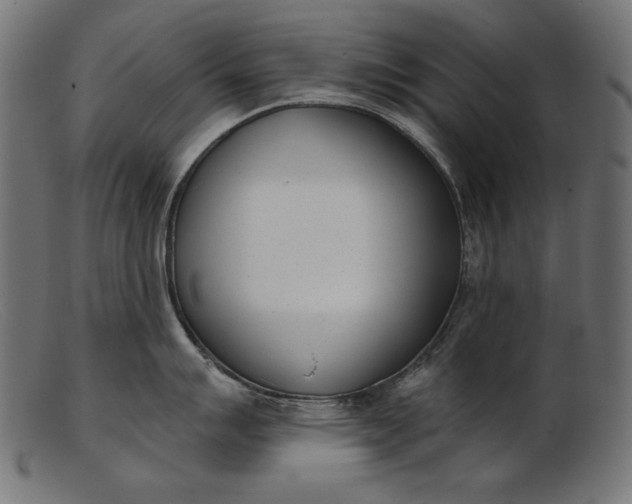 X0000103231007200809111526