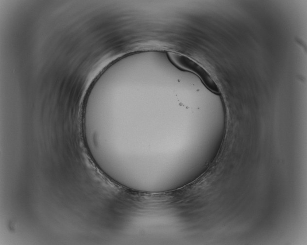 X0000103231008200809111526