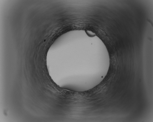 X0000103231009200809111525