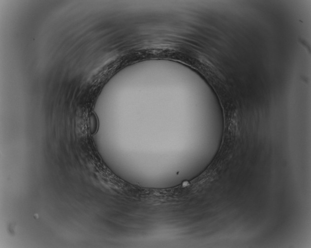 X0000103231014200809111525