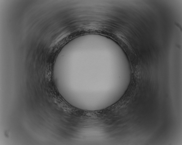 X0000103231015200809111525
