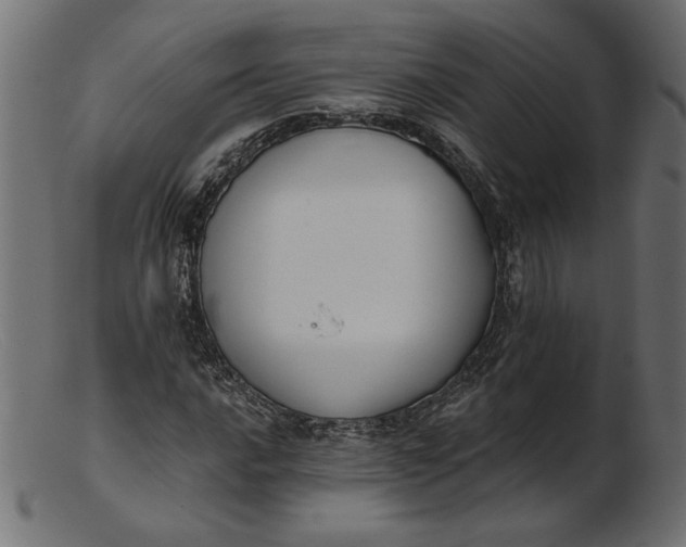 X0000103231016200809111525
