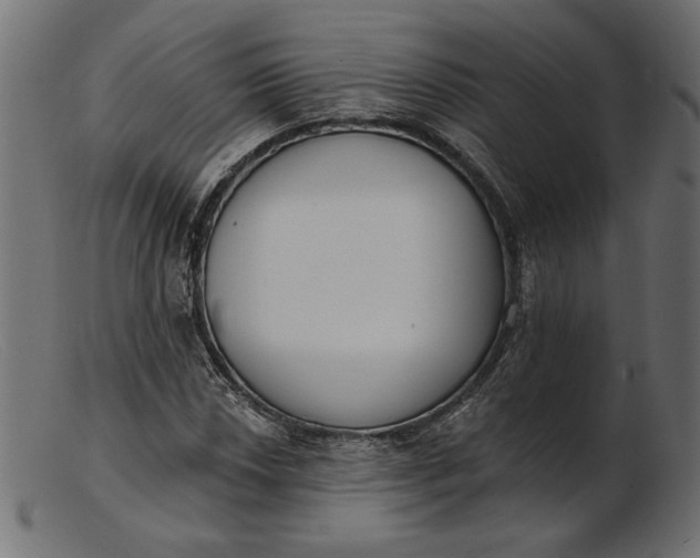 X0000103231018200809111525