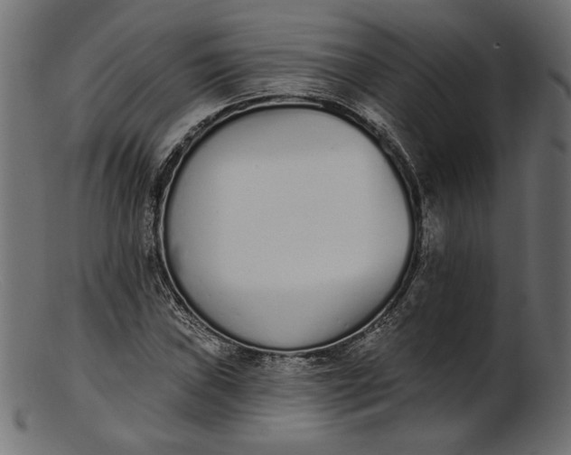 X0000103231019200809111525
