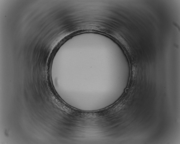 X0000103231020200809111525