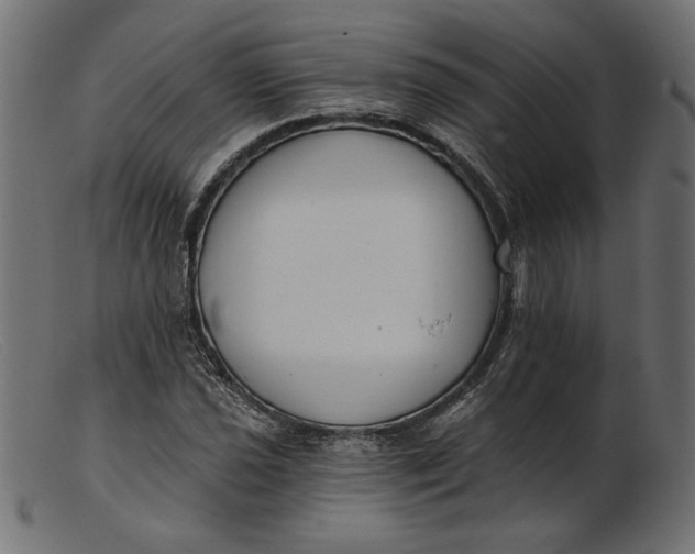 X0000103231021200809111525