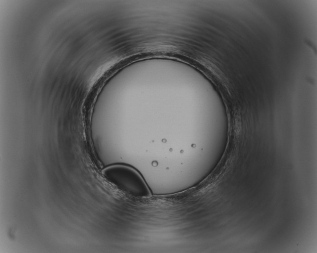 X0000103231022200809111525