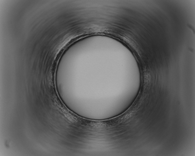 X0000103231023200809111525