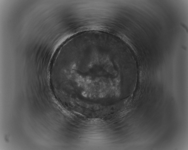 X0000103231024200809111525