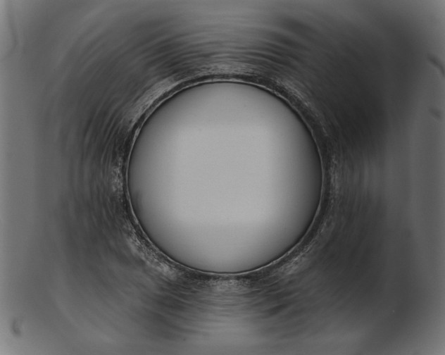 X0000103231025200809111525