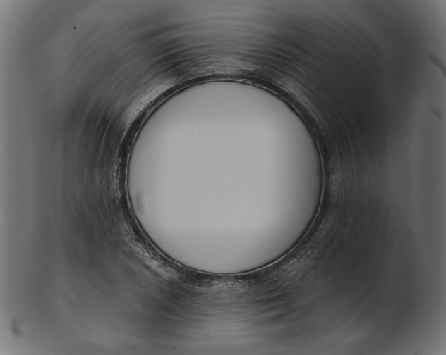 X0000103231026200809111525