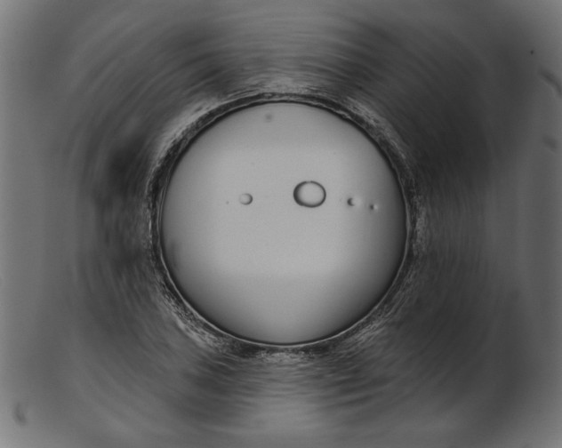 X0000103231027200809111525