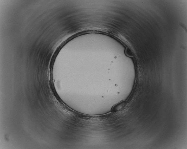 X0000103231028200809111525