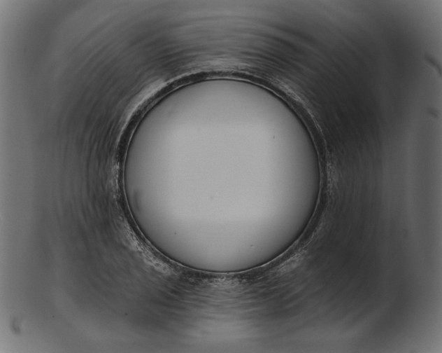 X0000103231029200809111525