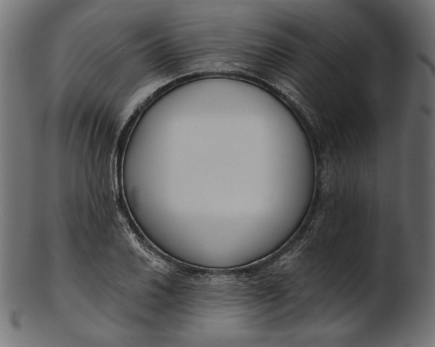 X0000103231030200809111525