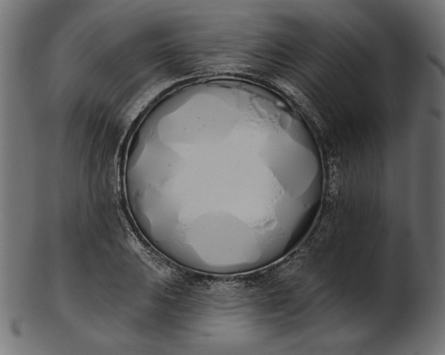 X0000103231031200809111525
