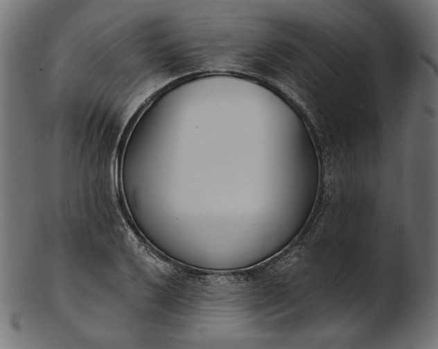 X0000103231032200809111525