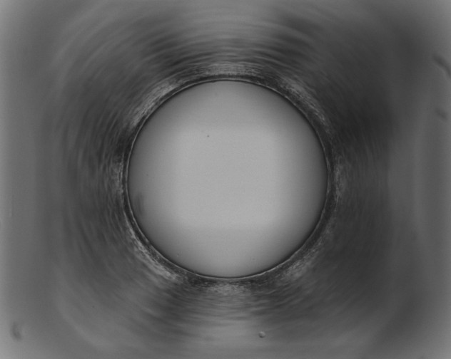 X0000103231033200809111525
